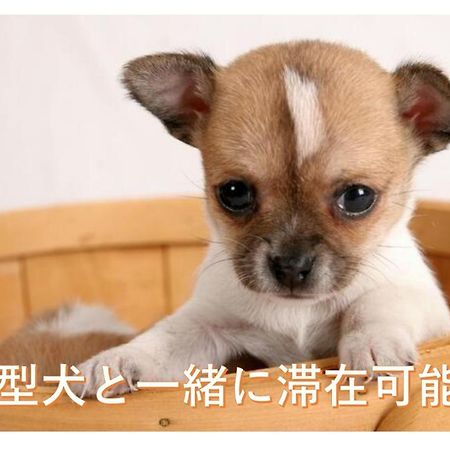 観光や仕事に便利ｻｰﾋﾞｽｱﾊﾟｰﾄﾒﾝﾄ札幌さくら2-2小型犬滞在可能 Apartment Toyohira Ngoại thất bức ảnh